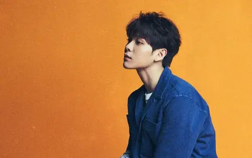 nine percent个人海报图片壁纸高清大图预览1920x1200_大陆明星下载