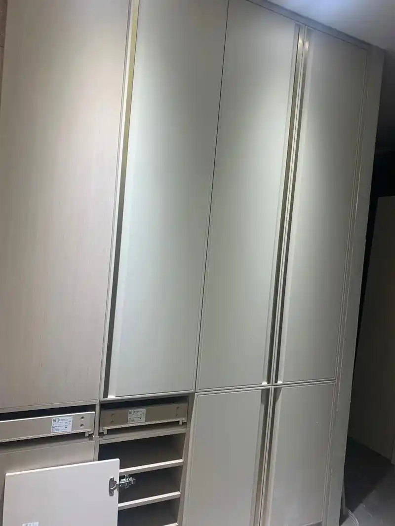 高端衣柜玛格定制,有颜有品,一站搞定,红星美凯龙玛格盛装营业 - 抖音