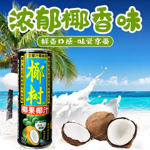 正宗椰树牌椰子汁椰果椰汁24罐海南特产椰奶植物蛋白饮料250g整箱