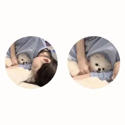 对象不是人系列头像