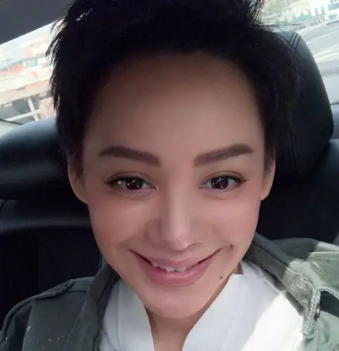 原创宁静霸气否认改国籍改了国籍还在中国捞金的明星有哪些