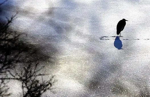 钱瑾的会员档案-阿里巴巴会员档案