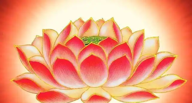 莲花|法门|精进|十方|功夫_网易订阅