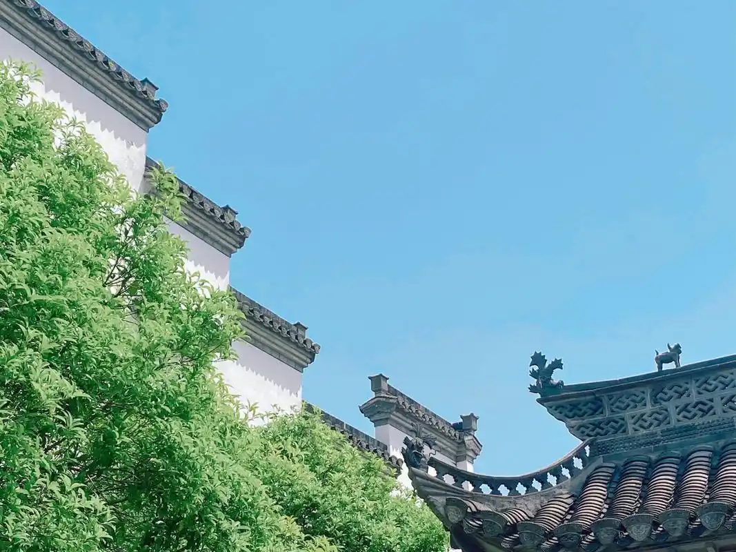 贩卖春日的美好——长荡湖水城 ,长荡湖水城,小众出行圣地感觉可以包