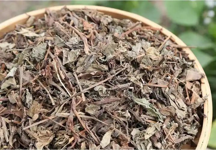 野生鱼腥草中药材500新鲜农家自晒晒干的鱼心草泡水鱼腥草茶袋装