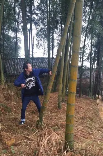 烊千玺的老家在湖南怀化安江镇,他逢年过节会回老家,曾晒出自己的家乡