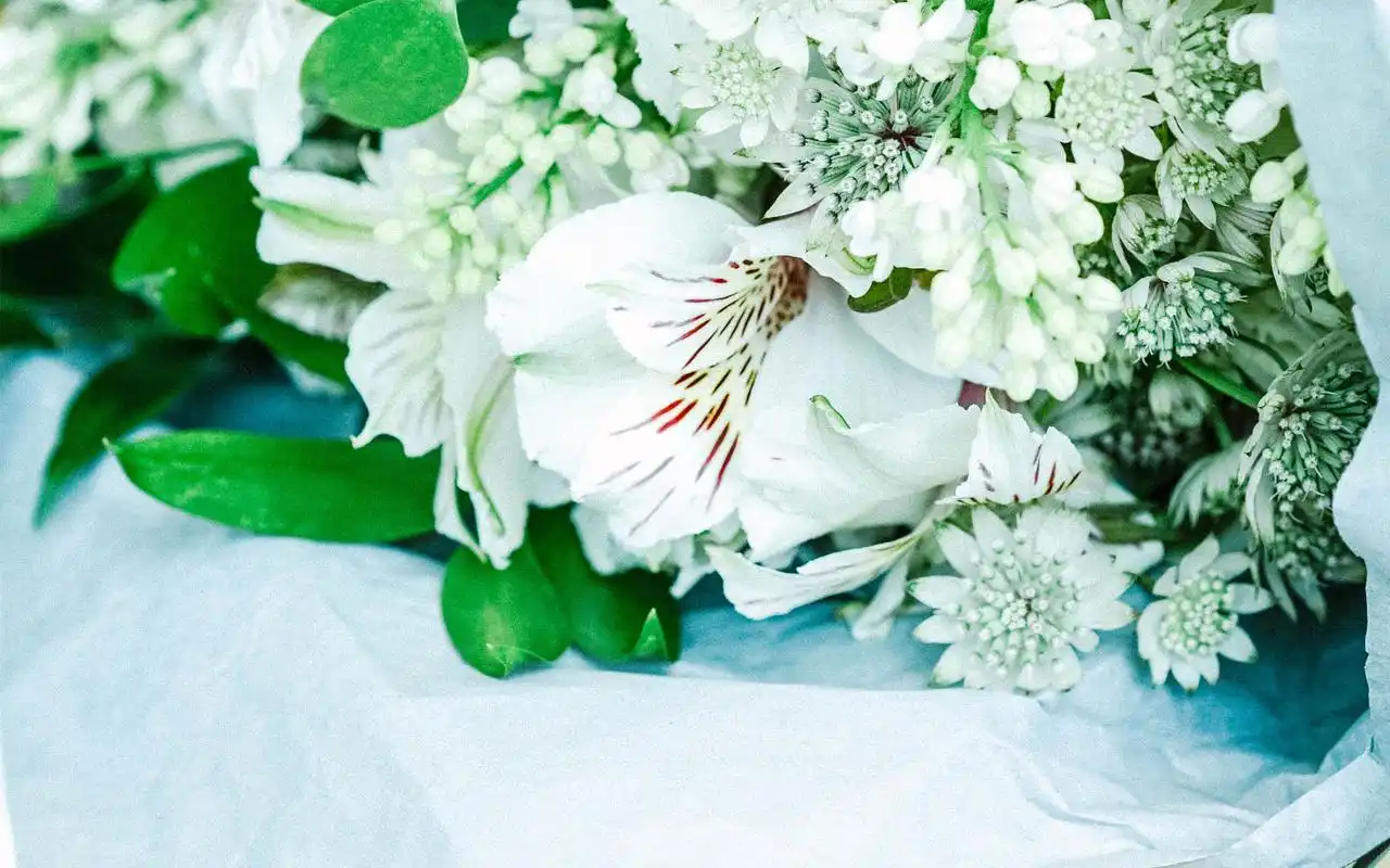 首页 桌面壁纸 文艺小清新绿色护眼唯美意境高清壁纸上一张下一张查看