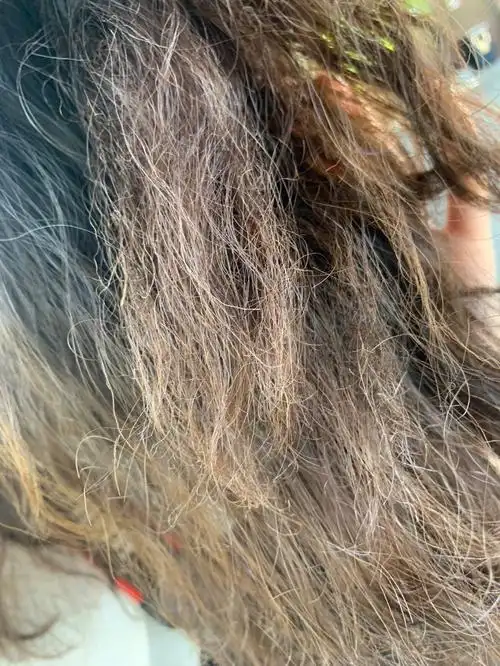 翻车,和我讲发尾会毛躁一点,已经不是毛躁,是直接把我左边头发烫焦了