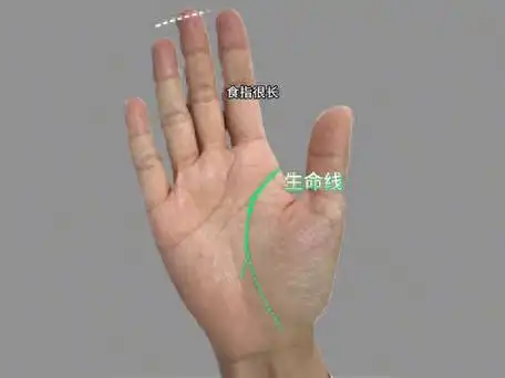 生命线内侧亲密关系线见横纹干扰,25岁左右见烂桃花干扰.