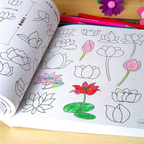 简笔画5000例大全:3-6-9-12岁儿童画画本绘画本小学生美术涂色画 简笔