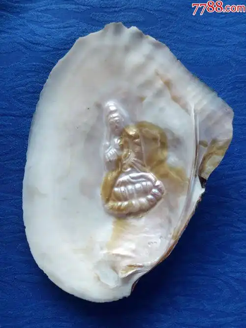 天然原生态贝壳佛教题材坐在莲花宝座上的观世音大士佛菩萨保您健康