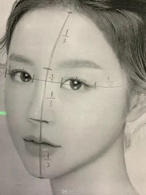 《标脸部比例—人物角色脸部五官入门练习》by bo