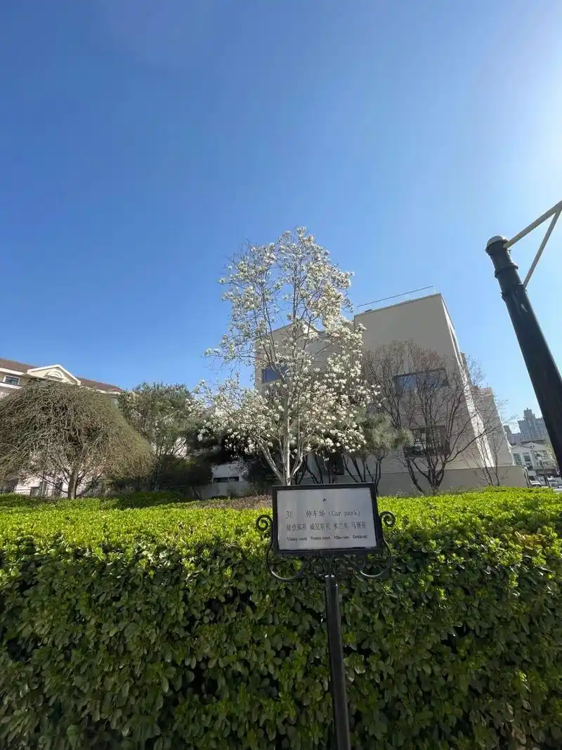 嘉林花园公寓介绍(别墅中的小三居) 嘉林花园是四环边的别墅区 主要先