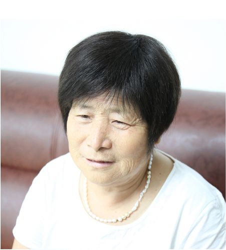 老年人假发短发全真真人透气自然奶奶全头黑色日常整顶假发