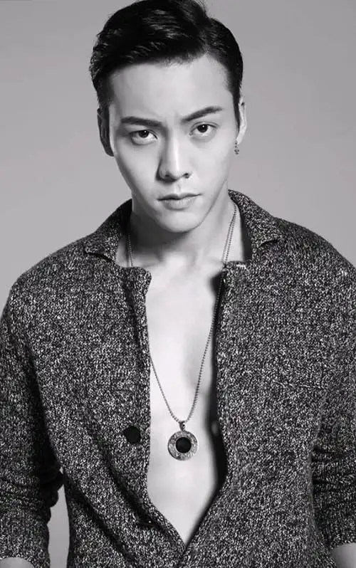 中国男明星十大帅哥排名不分先后