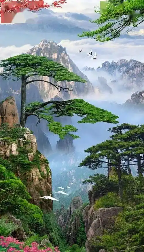 【美图欣赏】绝美高清图片,快选一幅做手机壁纸