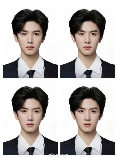 内娱男明星的证件照