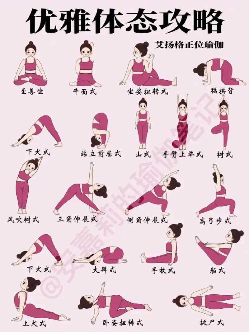 优雅体态攻略97艾扬格正位瑜伽体式练出来 74瑜伽