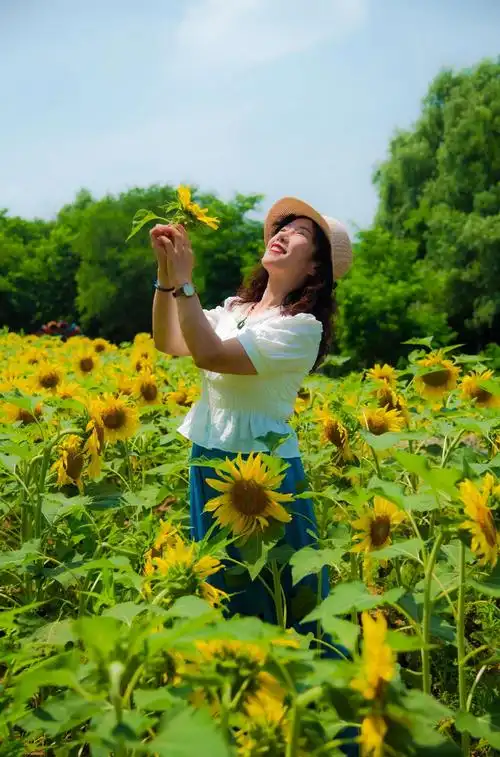 向日葵之所以幸福,是因为时刻都微笑着面对阳光,用心收集阳光,抛去