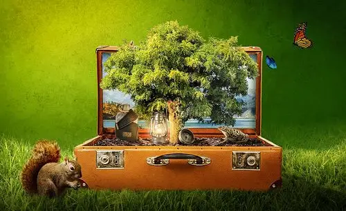 ps海报合成练习