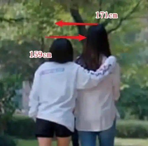 王子文多高真实身高都说王子文不到一米六