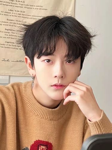 假发男中分蓬松帅气