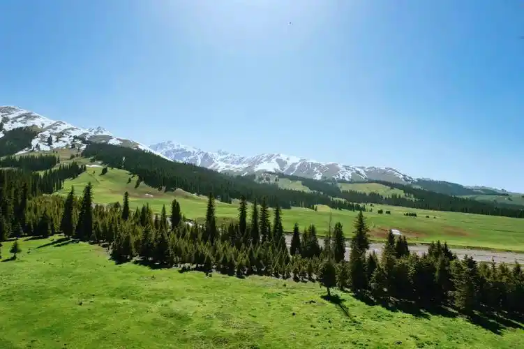 新疆旅行伊犁那拉提草原空中草原