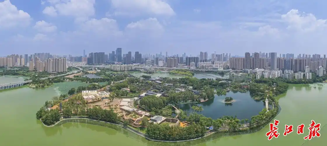 定格活力武汉春天的声音飘扬四海