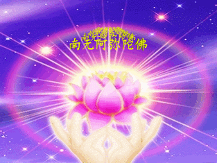 摘自2014净土大经科注-第82集