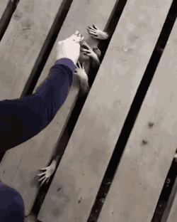 搞笑gif动态图快点拍下来发给我我缺一个这样的表情包