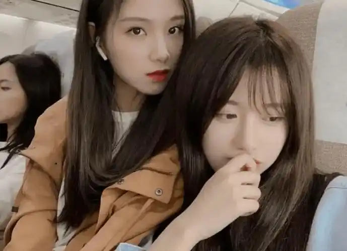 恋爱又家暴,她咋还能红啊?_沈梦瑶_袁一琦_莉佳