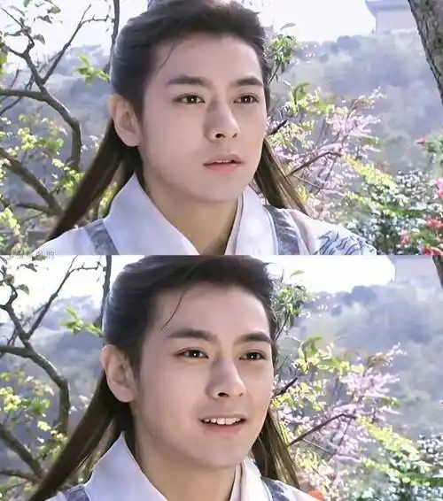 林志颖不是没有想过后果,当时的他处于事业上升期,2006年凭借《天龙