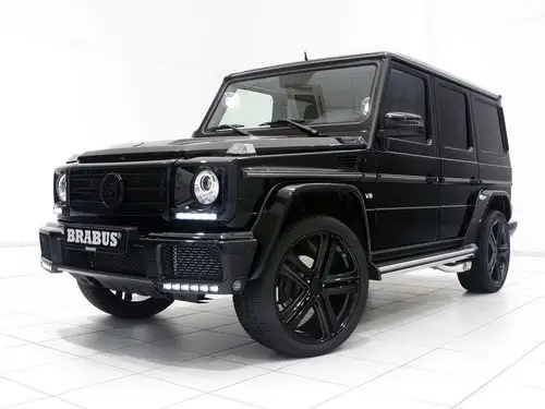 2016款巴博斯g500官图