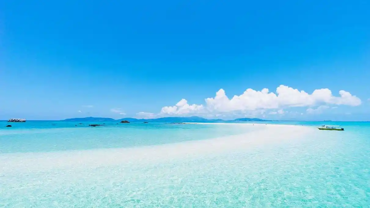 树自然天空云沙子海边风景4k壁纸》编号是100301,尺寸是3840x2160像素