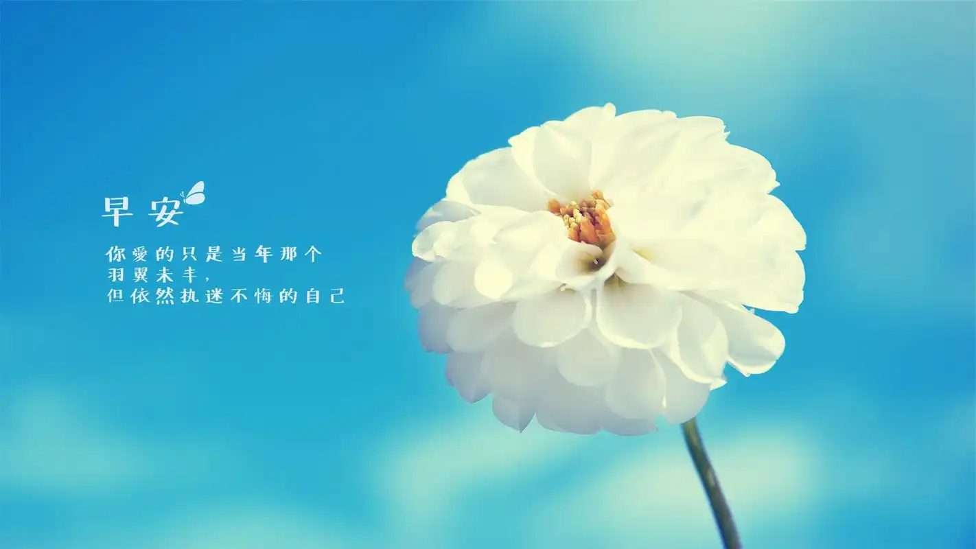 首页 桌面壁纸 唯美早安心语个性高清电脑壁纸图片上一张下一张查看