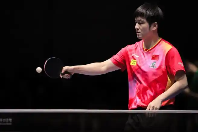 樊振东##釜山世乒赛团体赛