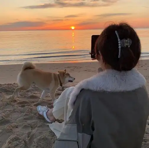 有没有类似于这种既有人又有风景的头像