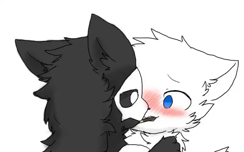 changed萌图第六期_哔哩哔哩bilibili