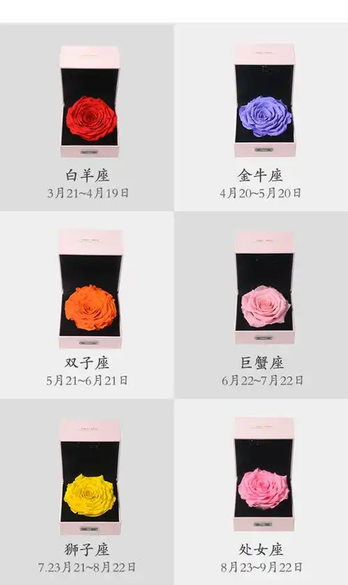 joyflower情人节进口永生花礼盒生日礼物十二星座永生玫瑰花