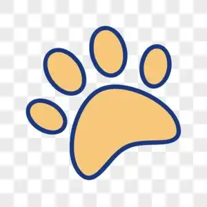 动物脚印图片