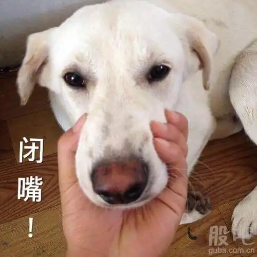 股市我的全部就是垃圾寒雪诚.闭上狗嘴.支持者点赞顶上去._全志科技(3