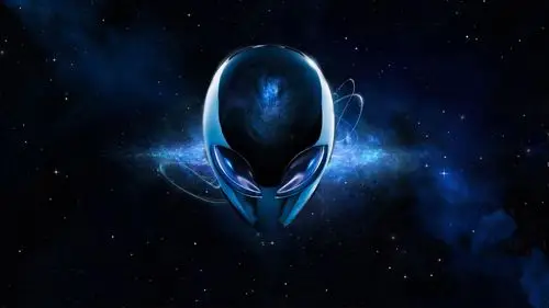 没有如果_嗨伟刘的鱼吧_鱼吧社区