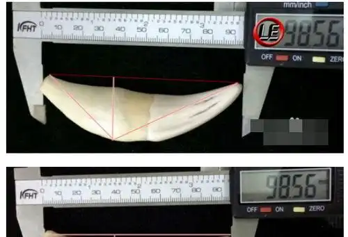 虎牙怎么分辨真假你需要学习了