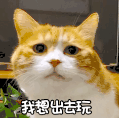 好想出去浪图片_好想出去浪动态图_好想出去浪表情包gif动图下载_soo