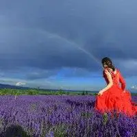 女孩拥抱薰衣草花海头像_微信头像图片大全