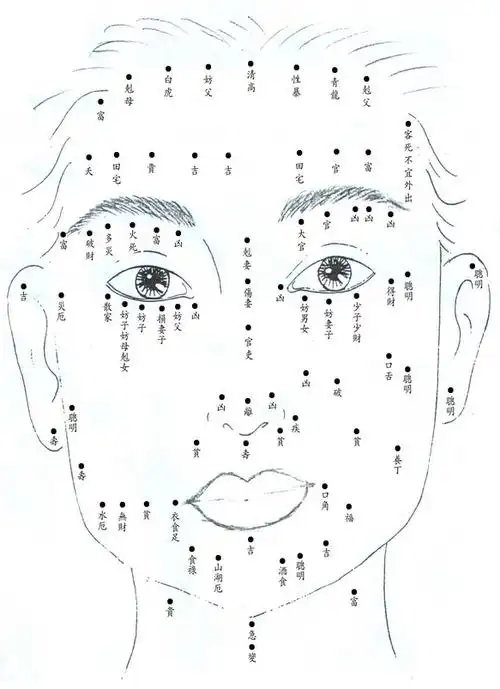 详细解释(男人痣相图) [精]长在不见光位置如耳垂,耳背,眼眉下,鼻头下