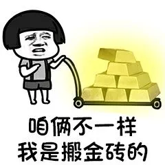 咱俩不一样,我是搬金砖的