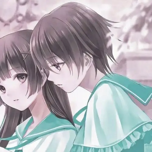 情侣动漫头像/情头/二次元/抱宠情头/ks江碌