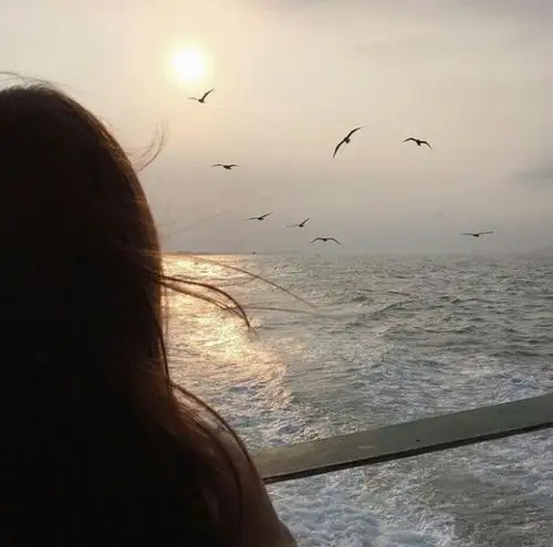 系闺蜜 欧韩日美 简约 清新 夏日 阳光 森系 萌 搞怪 背影 气质长发 >