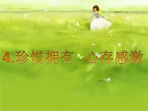 珍惜拥有 心存感激.ppt 19页